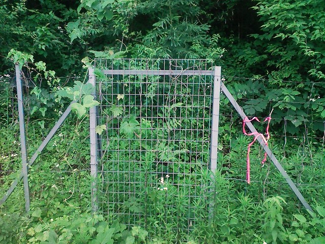 b0184725_14165170.jpg