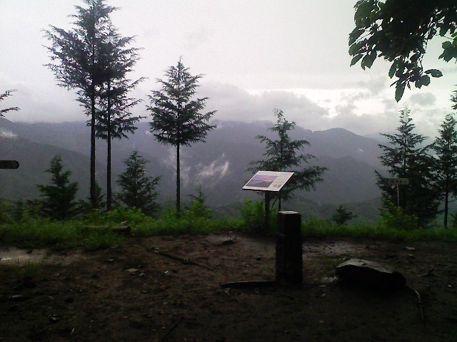 b0184725_15371289.jpg
