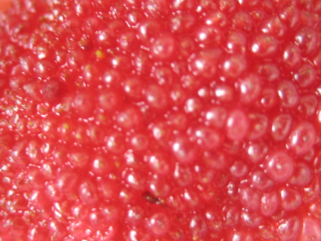 d0147727_20162534.jpg