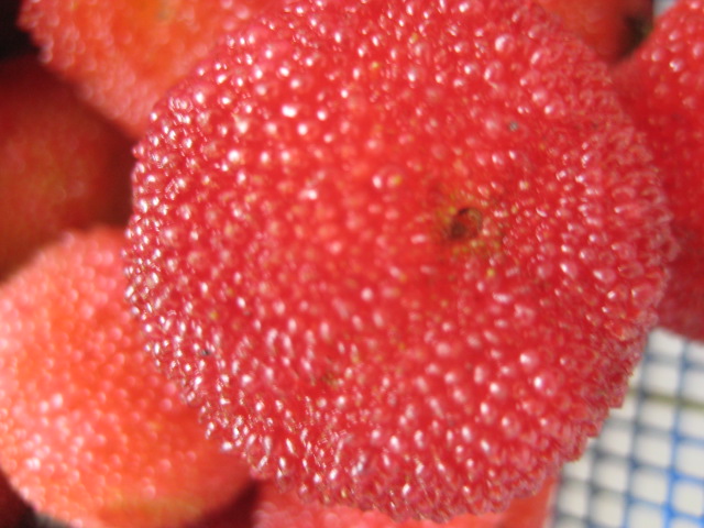 d0147727_20164216.jpg