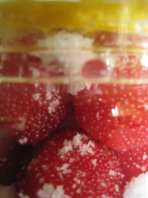 d0147727_2021119.jpg