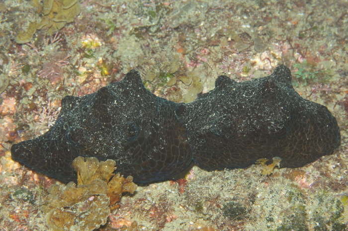 c0034029_18143916.jpg