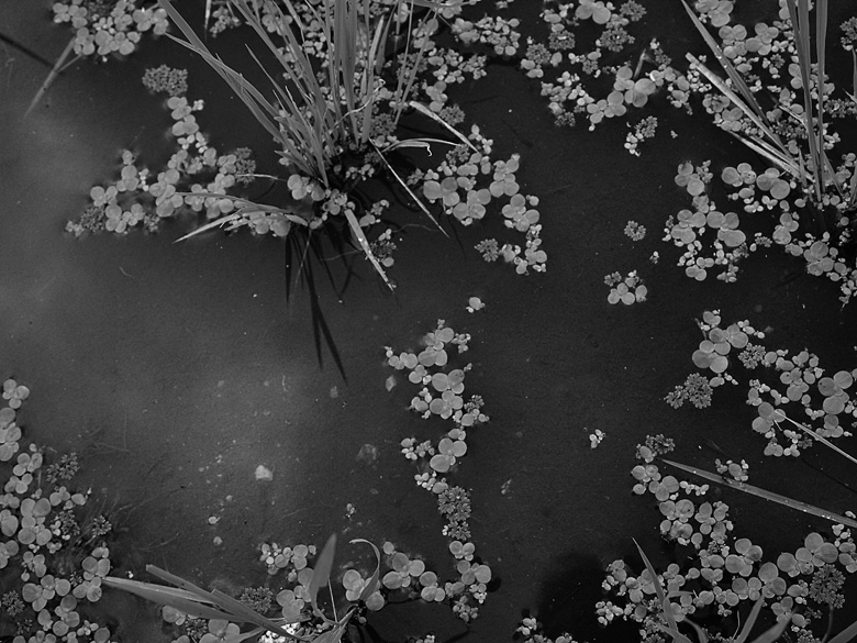 c0211429_20331815.jpg