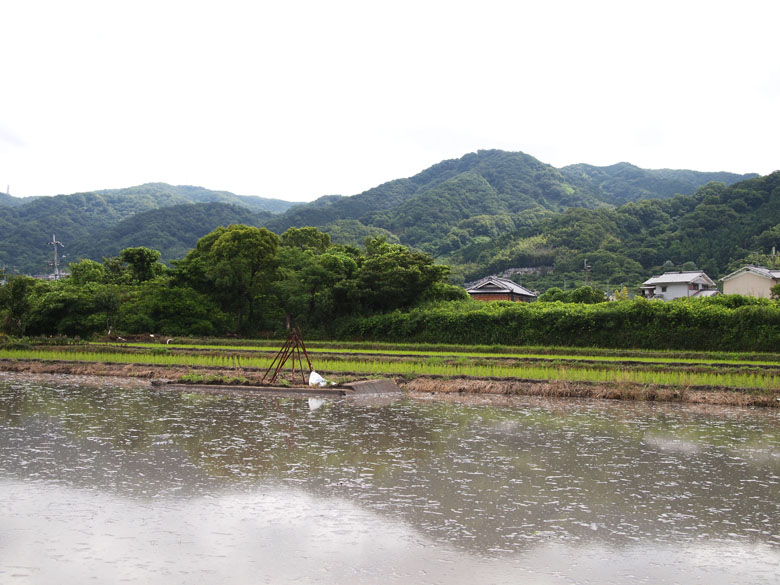 c0211429_2033378.jpg
