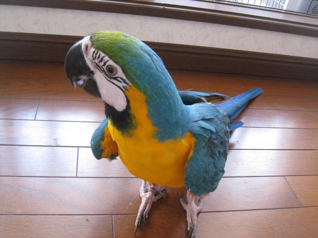 e0107730_23175986.jpg