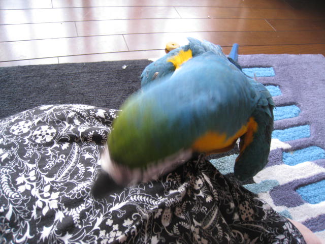 e0107730_23222316.jpg