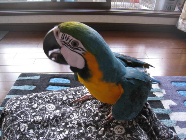 e0107730_2322425.jpg