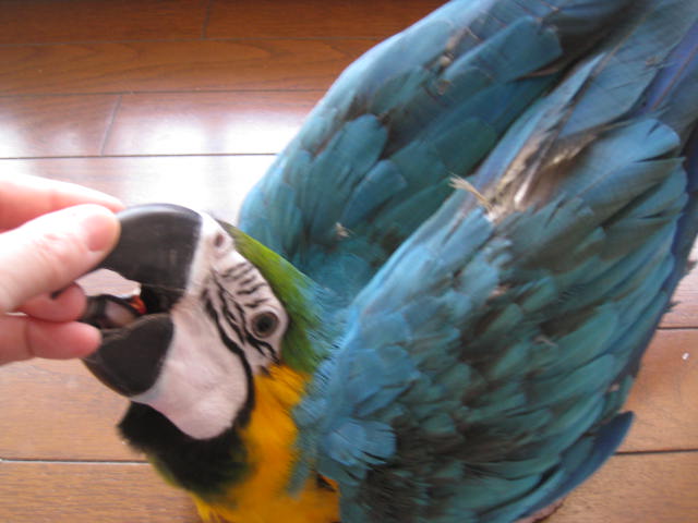 e0107730_23271177.jpg