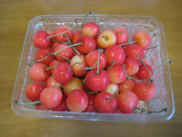 e0166032_20314053.jpg
