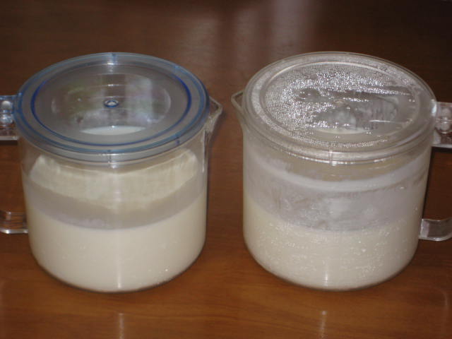 e0166032_2031796.jpg