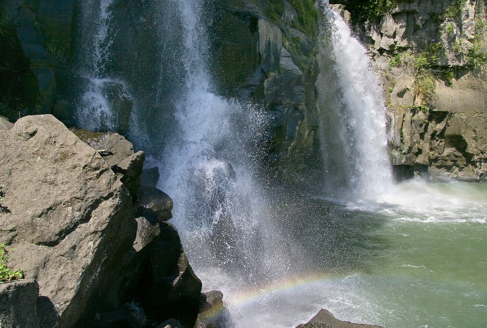 d0136836_112195.jpg