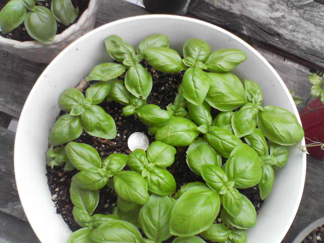 f0237037_162032.jpg