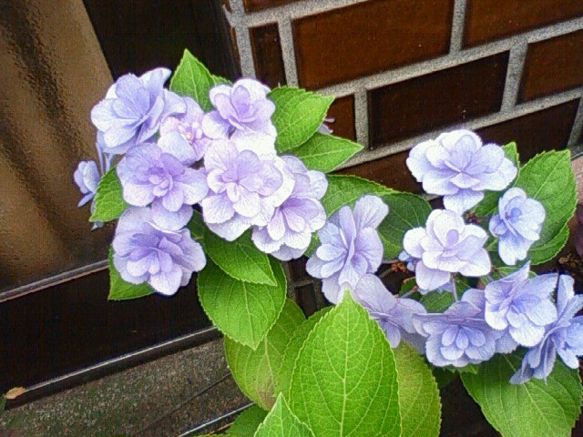a0163738_23535710.jpg