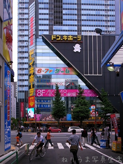 a0009142_18113856.jpg