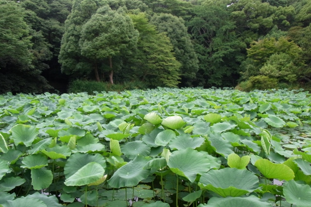 c0067646_2345861.jpg