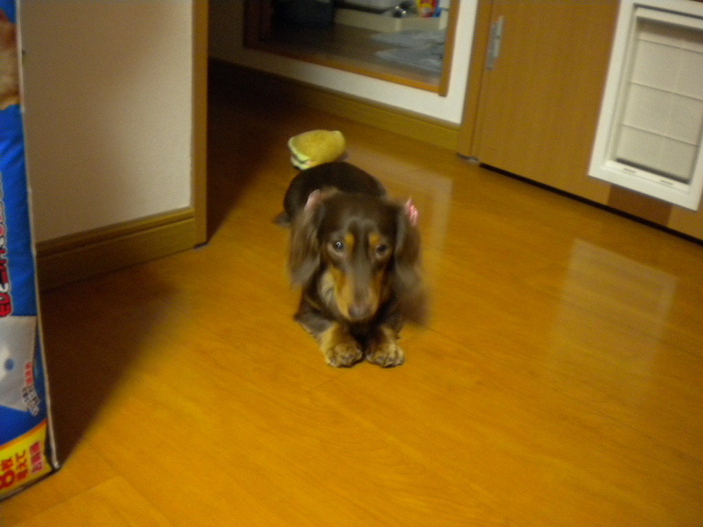f0235048_13123657.jpg