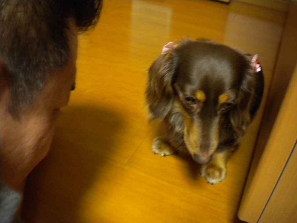 f0235048_1315034.jpg