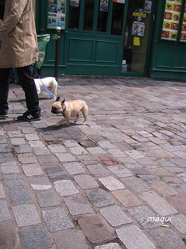 c0098050_11114412.jpg