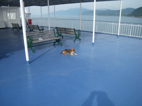 f0046250_1584443.jpg