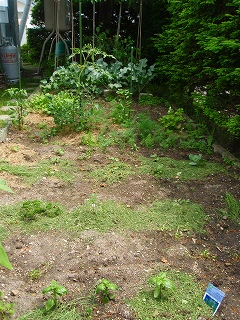 e0004756_21263985.jpg