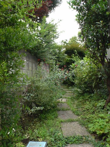 b0074862_2157014.jpg