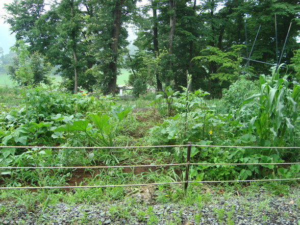 d0152765_10242577.jpg