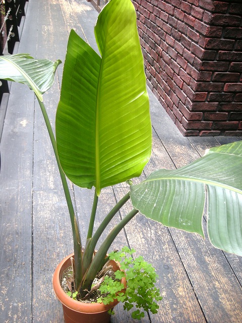f0224266_1382123.jpg