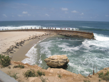 f0068883_11182571.jpg