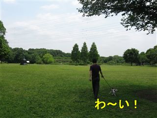 e0121589_16251145.jpg