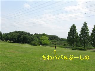 e0121589_16254227.jpg
