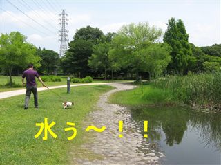 e0121589_16262337.jpg