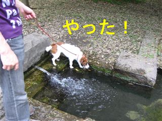 e0121589_1630022.jpg