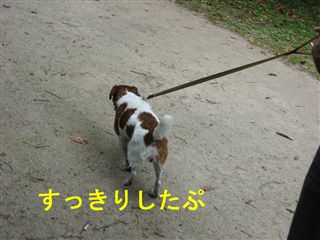 e0121589_1634351.jpg
