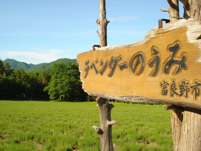 a0115090_110320.jpg