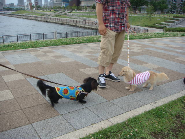 d0098295_0205750.jpg
