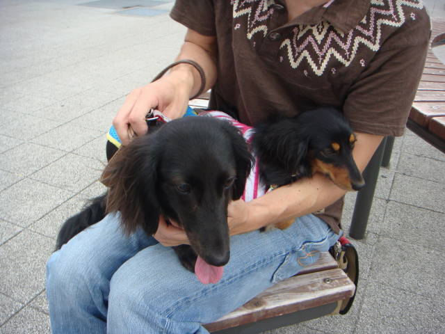 d0098295_0305043.jpg