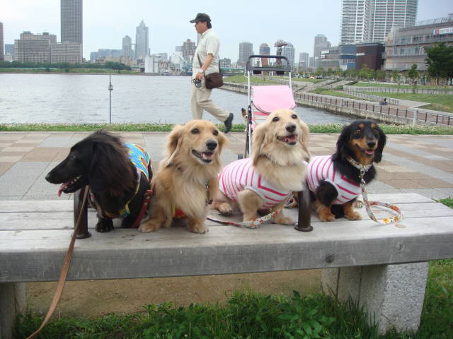 d0098295_0322586.jpg