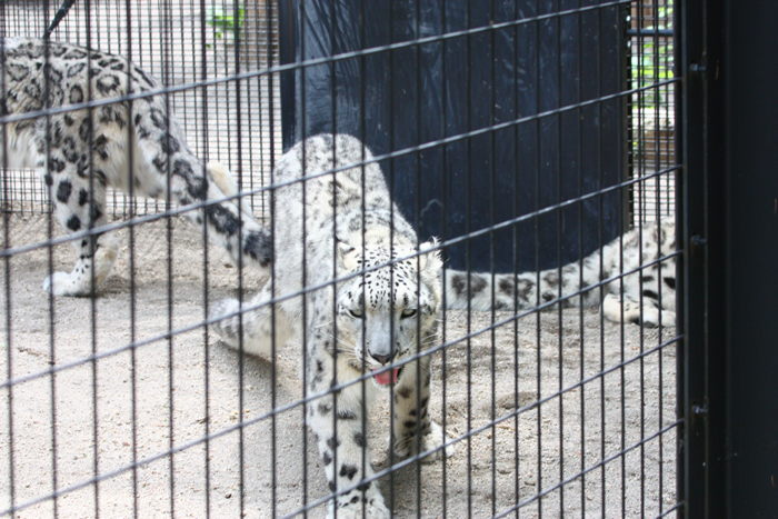f0001895_155241.jpg