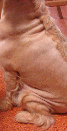 c0094999_1605873.jpg