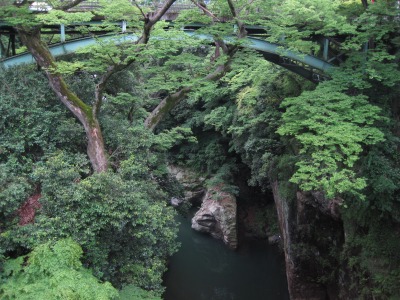 e0183804_443434.jpg