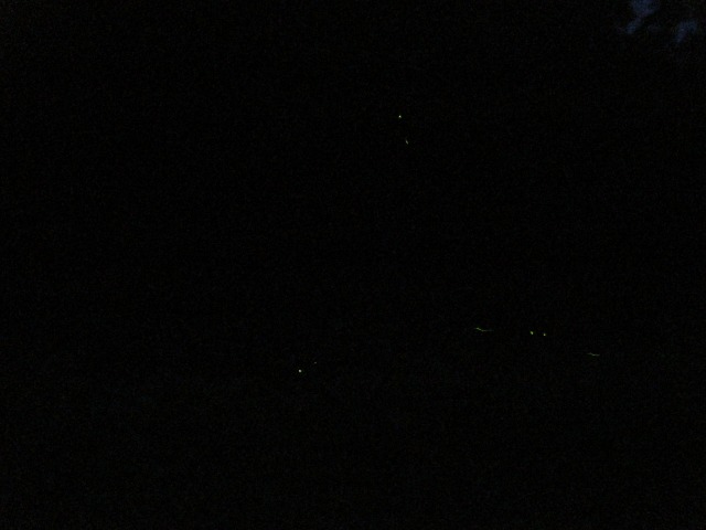 e0183804_4534677.jpg