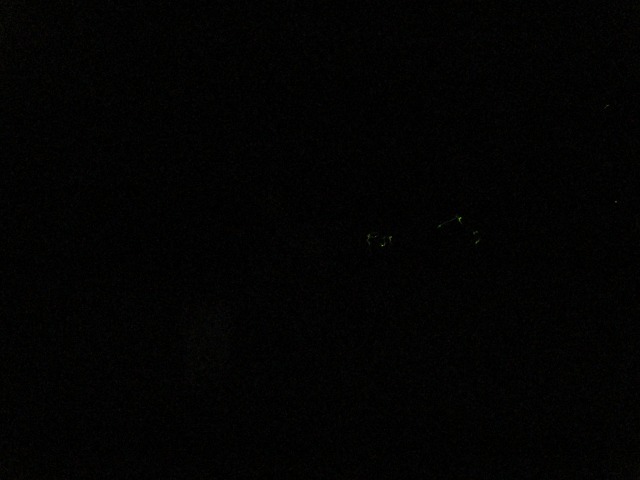 e0183804_4554750.jpg