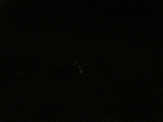 e0183804_4562526.jpg