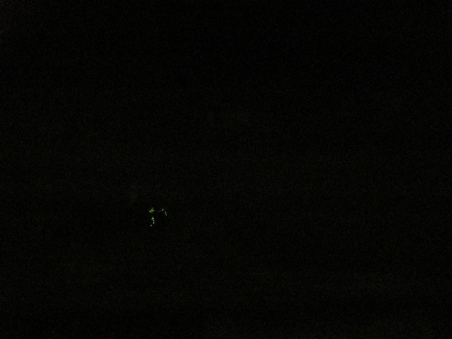 e0183804_4564036.jpg