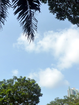 c0148705_0223918.jpg