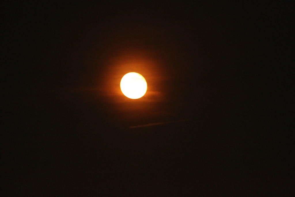 a0147507_23193072.jpg