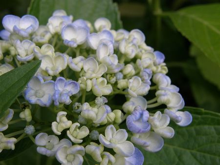 b0061107_1753279.jpg