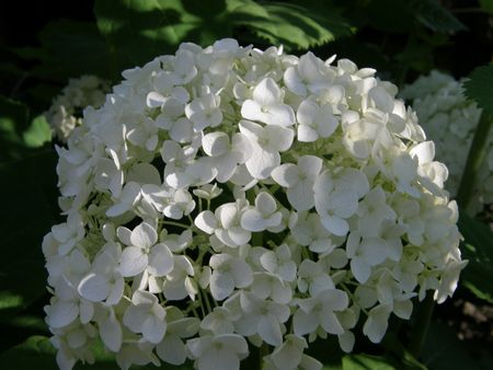 b0061107_23121397.jpg