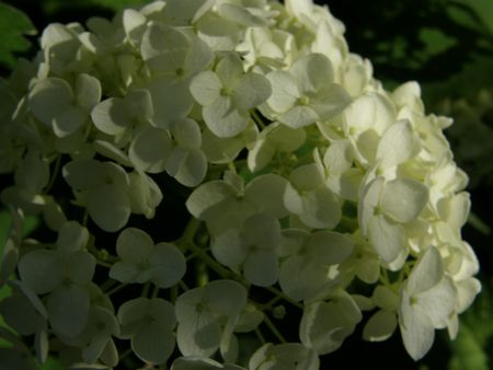 b0061107_23142562.jpg