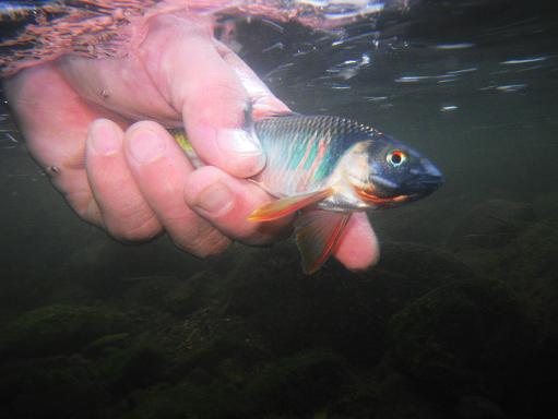 e0123808_23131738.jpg